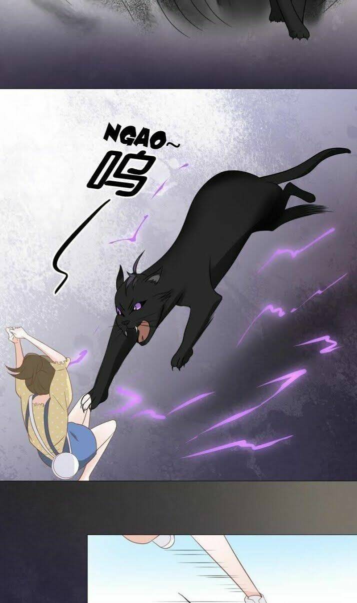 Thập Nhị Hắc Miêu: Chapter 10