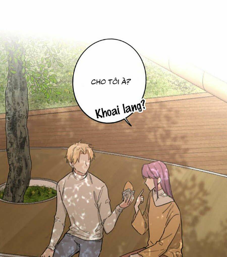 Cát Xê Người Tình Bóng Đêm: Chapter 13
