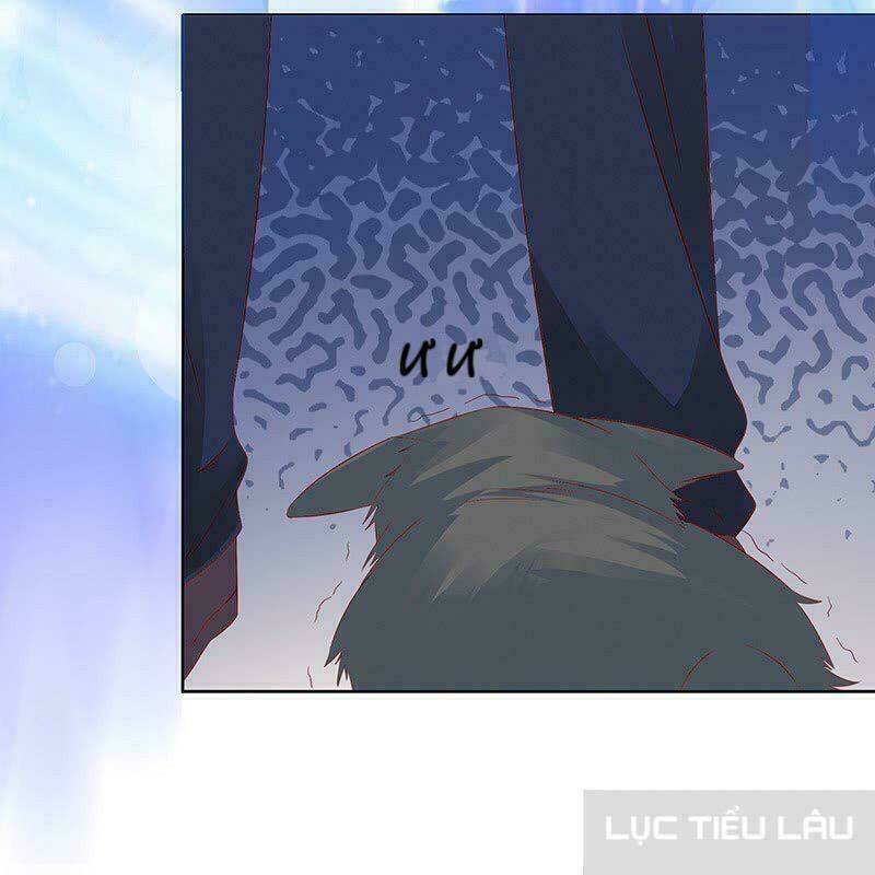 Băng Sơn Học Trưởng Không Được Chọc: Chapter 13