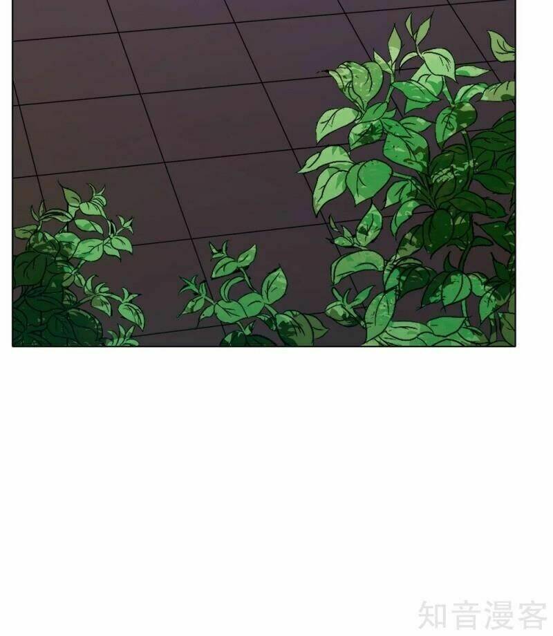 Hệ Thống Tiên Tôn Tại Đô Thị: Chapter 126