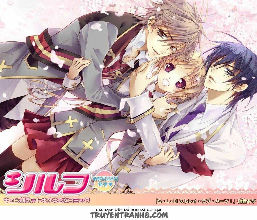 S.L.H (Stray Love Hearts): Chapter 20