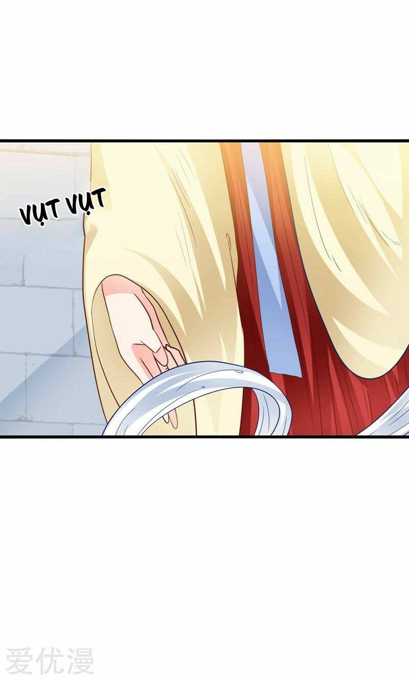 Tôi Bị Gấu Trúc Nhìn Trúng Rồi: Chapter 24