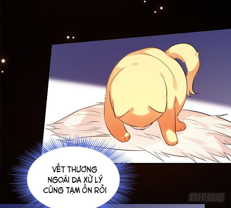 Lụ Đạn, Hôm Nay Lại Cũng Không Thể Biến Thành Người Được: Chapter 2