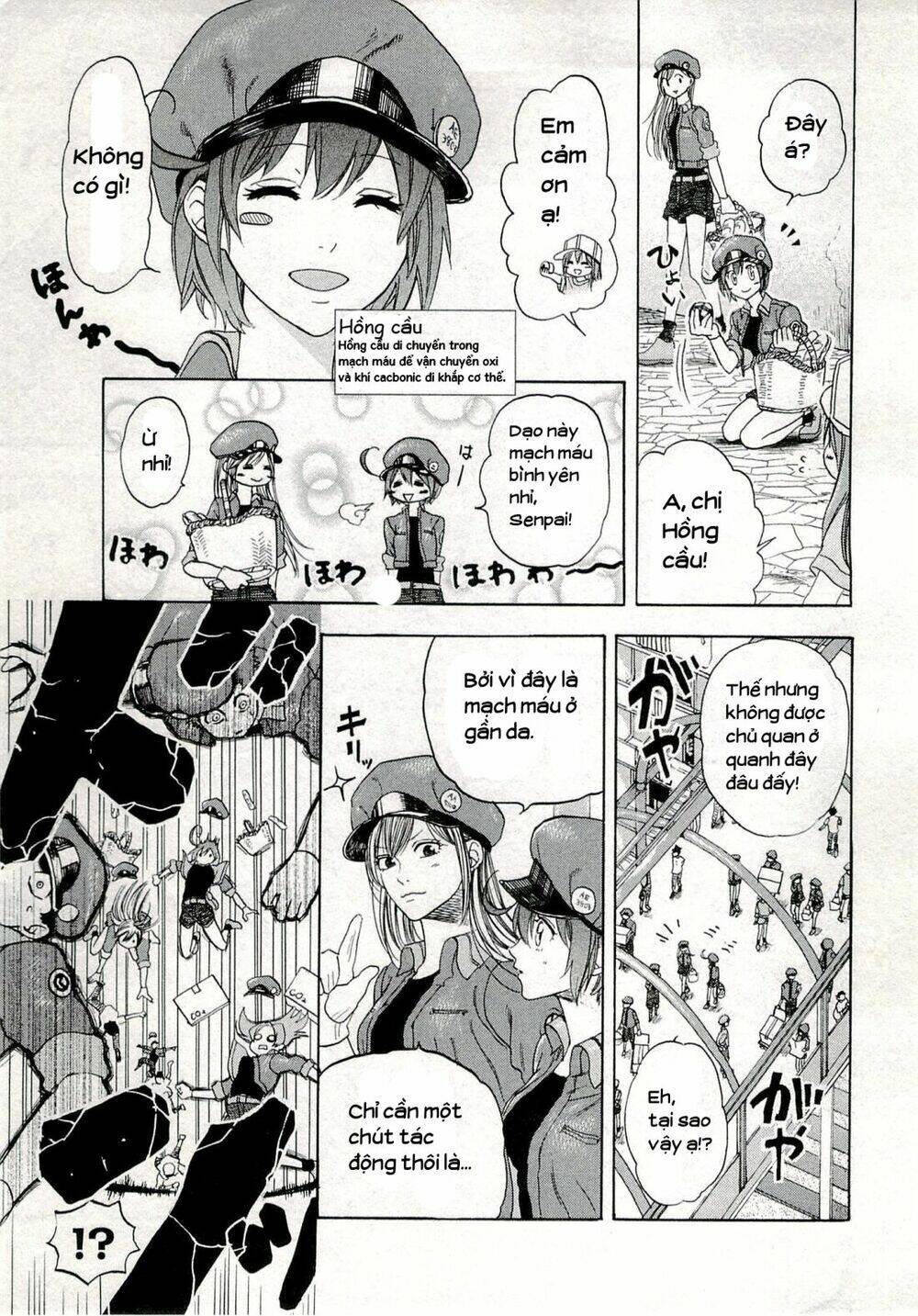 Hataraku Saibou!: Chapter 4