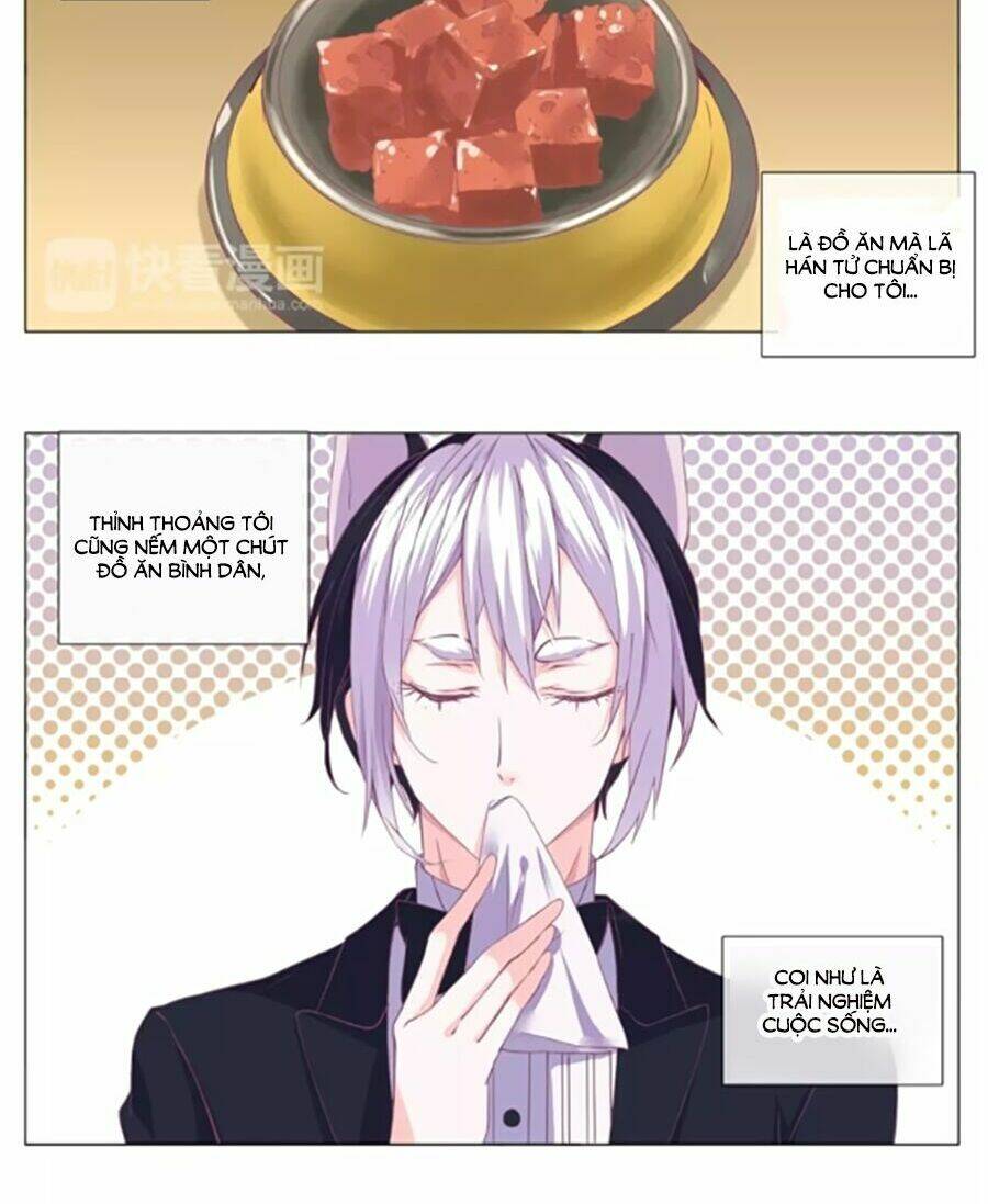 Đừng Nghịch, Ta Chỉ Muốn Yên Tĩnh: Chapter 37