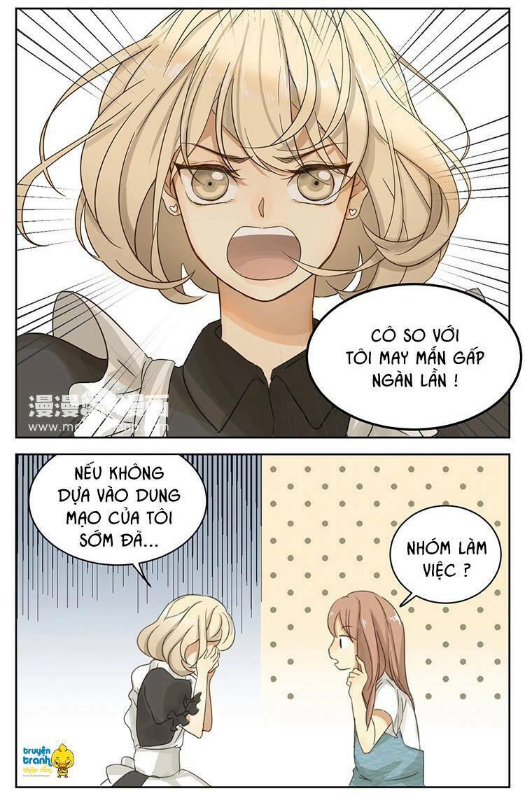 Cứu mạng ! Loài mèo thống trị thế giới rồi !: Chapter 12