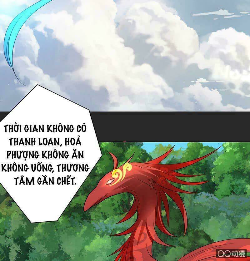 Băng Sơn Học Trưởng Không Được Chọc: Chapter 52.2