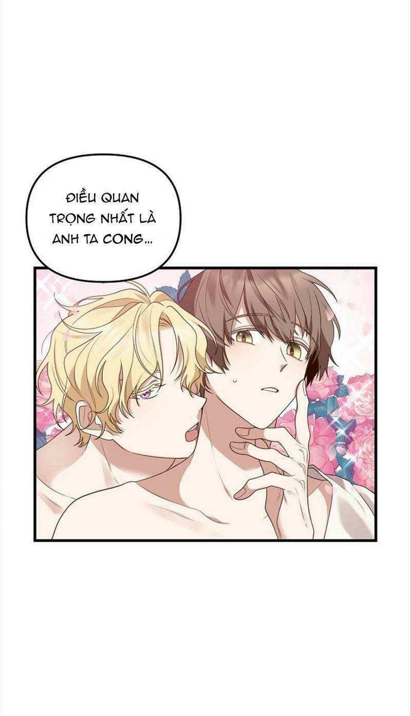 Hôn Phu Của Tôi Là Nam Chính Yandere: Chapter 1
