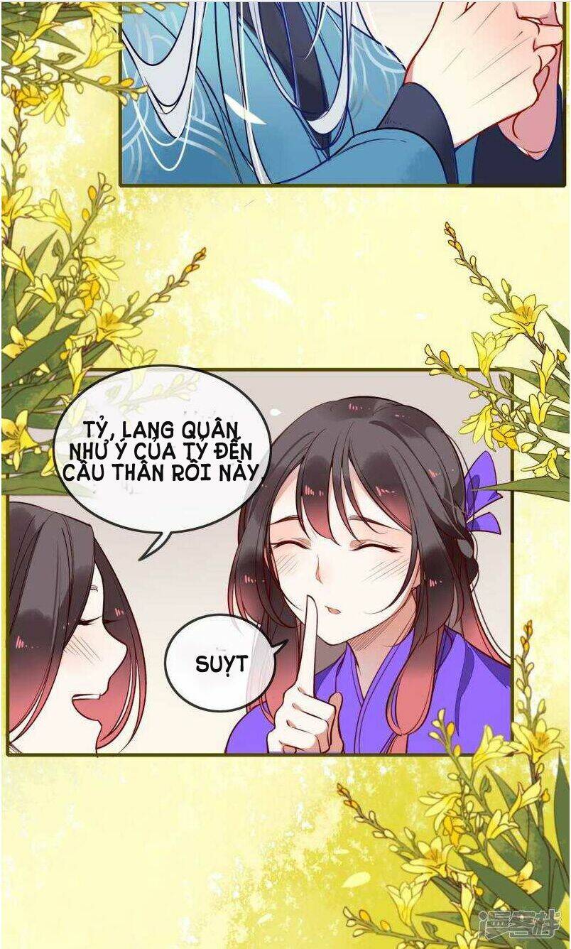Bỉ Ngạn Hoa: Chapter 0