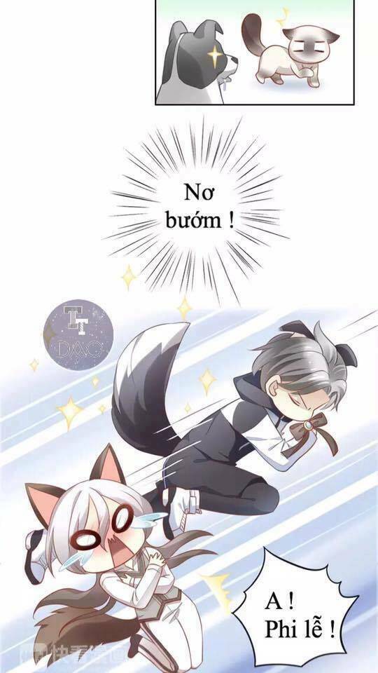Dưới Móng Vuốt Mèo: Chapter 17