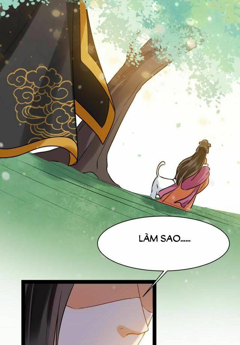 Thịnh Sủng Kiều Nữ Trở Về Triều Ca: Chapter 37