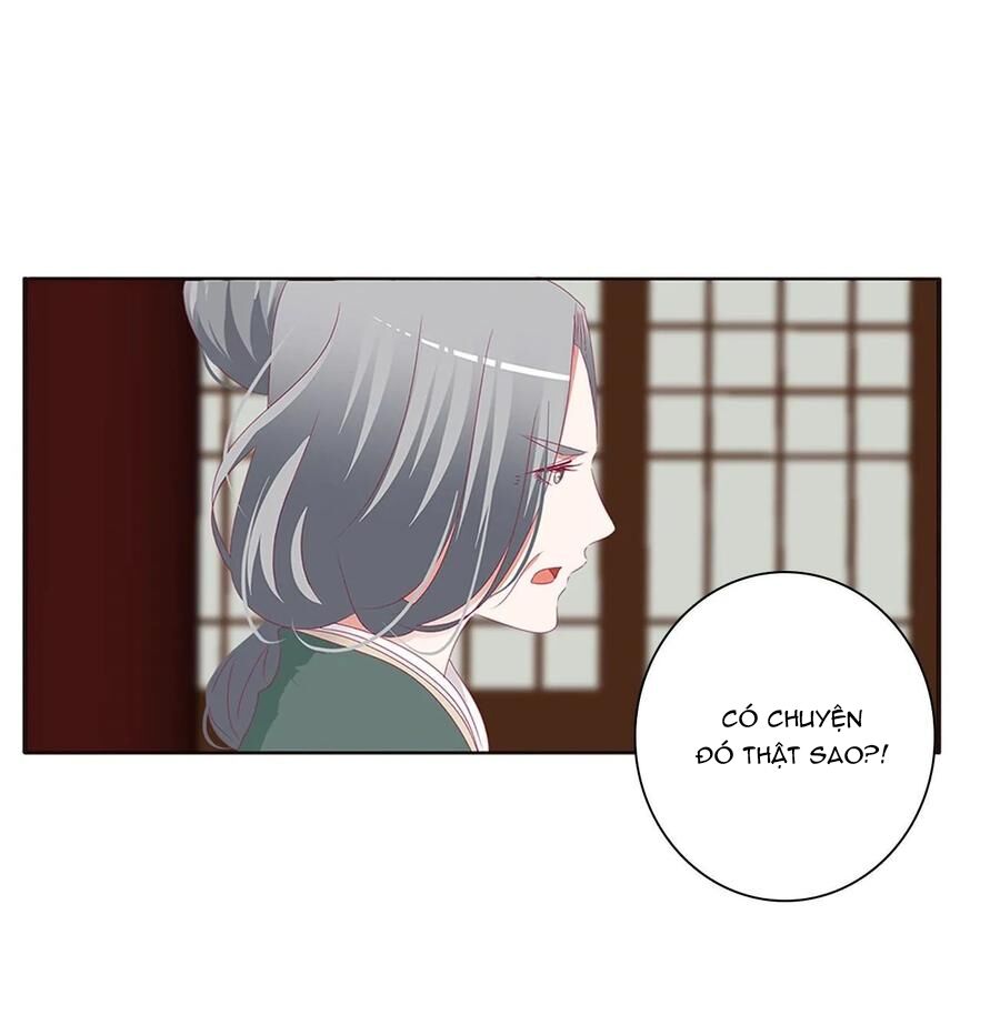 Thông Linh Phi: Chapter 604