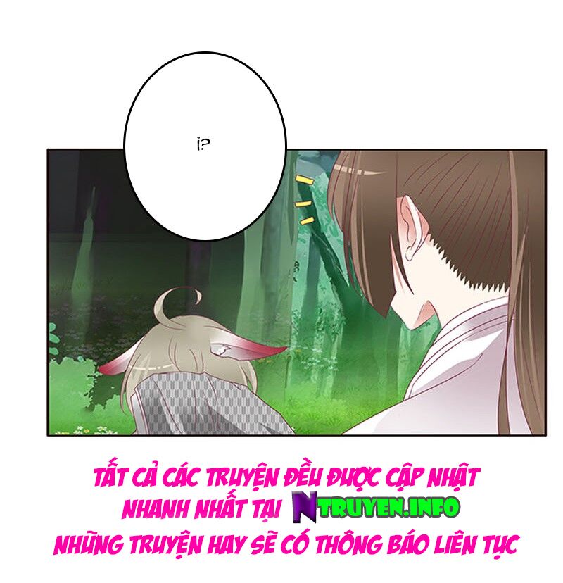 Thông Linh Phi: Chapter 317