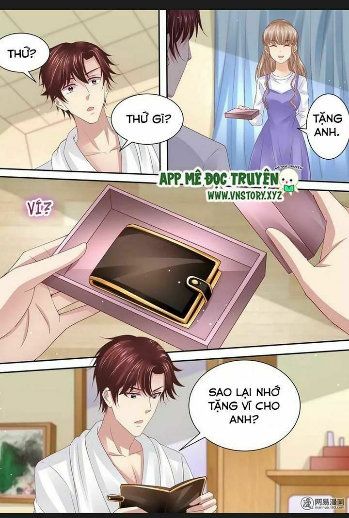 Cưng Chiều Vợ Yêu: Chapter 73: Chuyện cũ về mèo