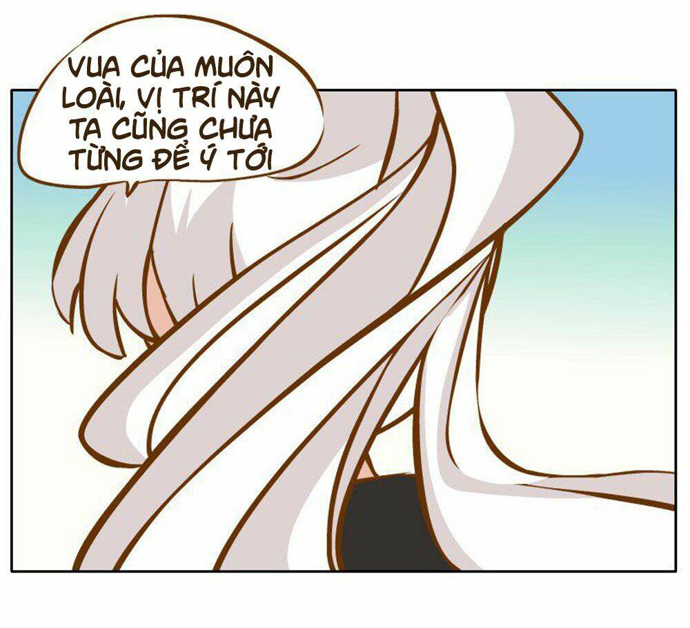 Hòa Thượng Và Tiểu Long Quân: Chapter 19