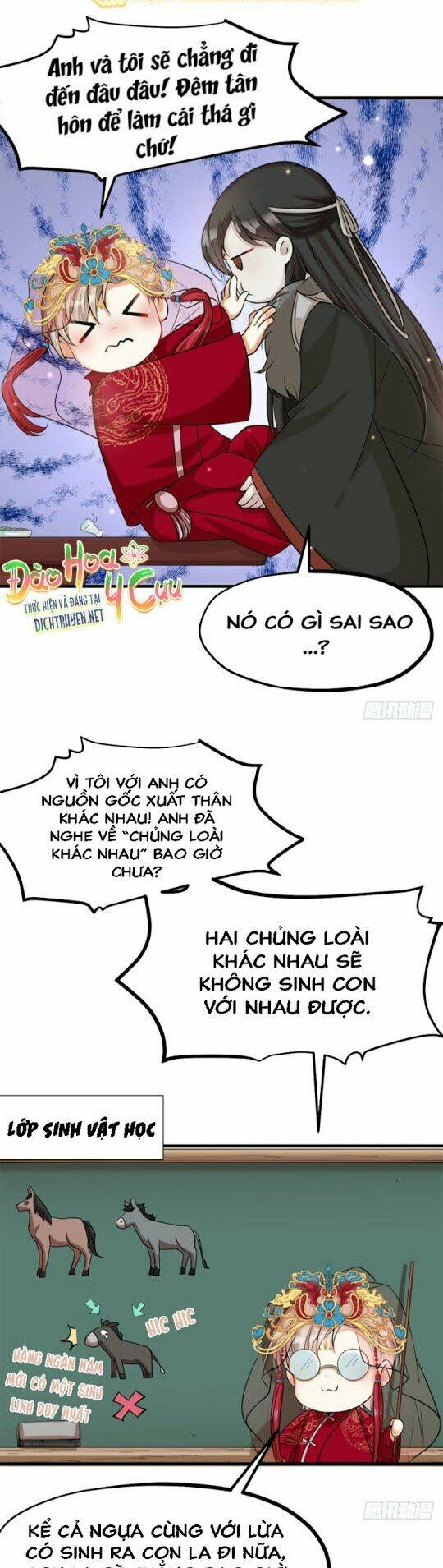 Phu Phu Khuynh Thành: Chapter 3