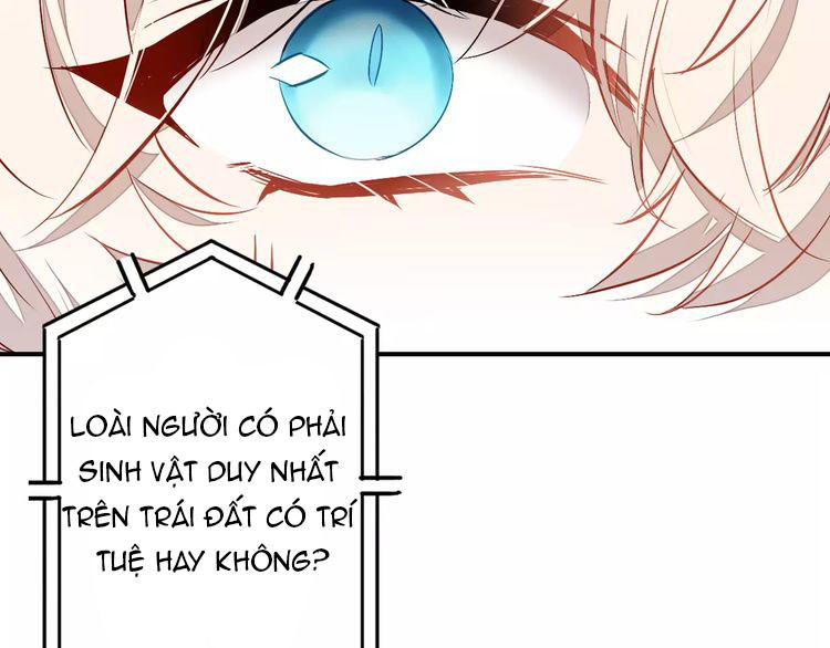 Ái Ngạo Kiều Long Vương Gia: Chapter 2