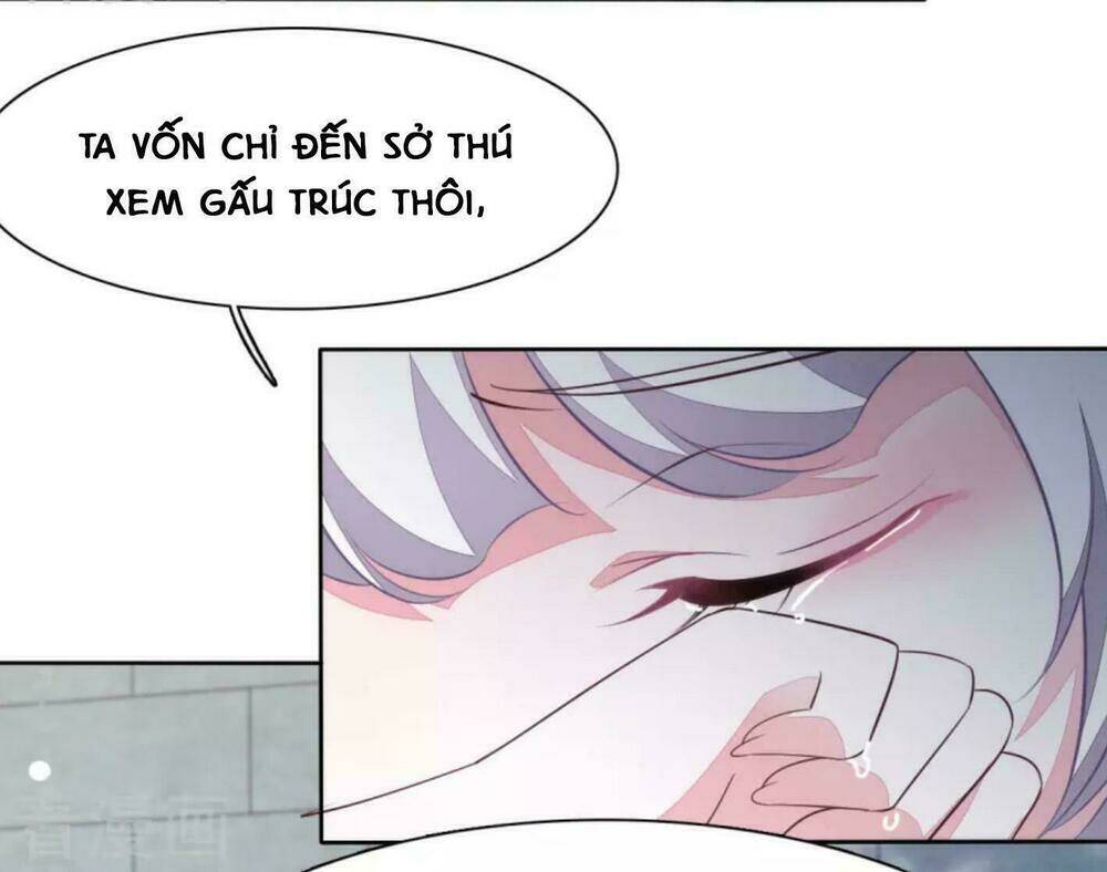 Xuyên Về Cổ Đại Làm Quốc Bảo: Chapter 17