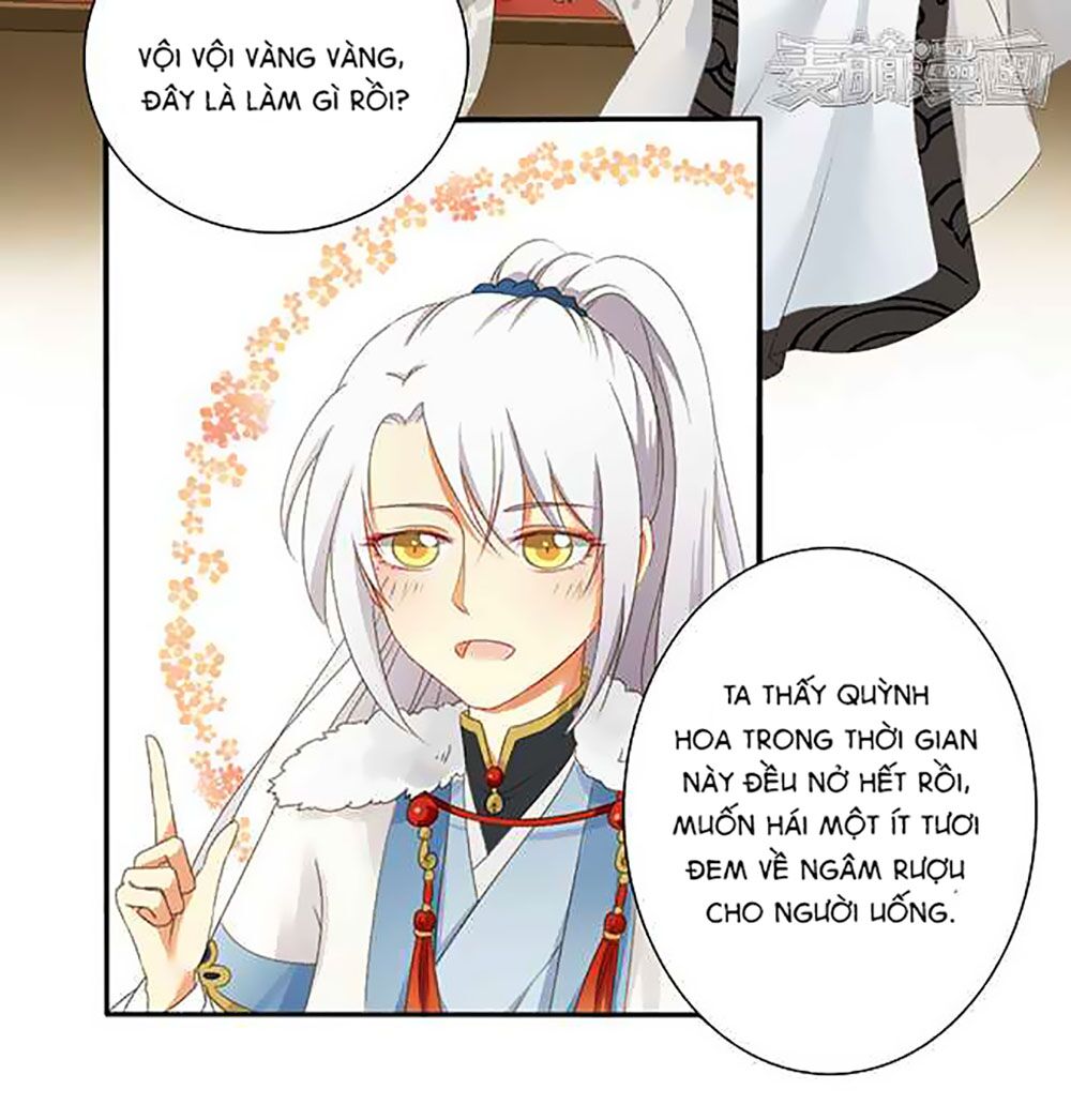 Quy Tự Dao: Chapter 13