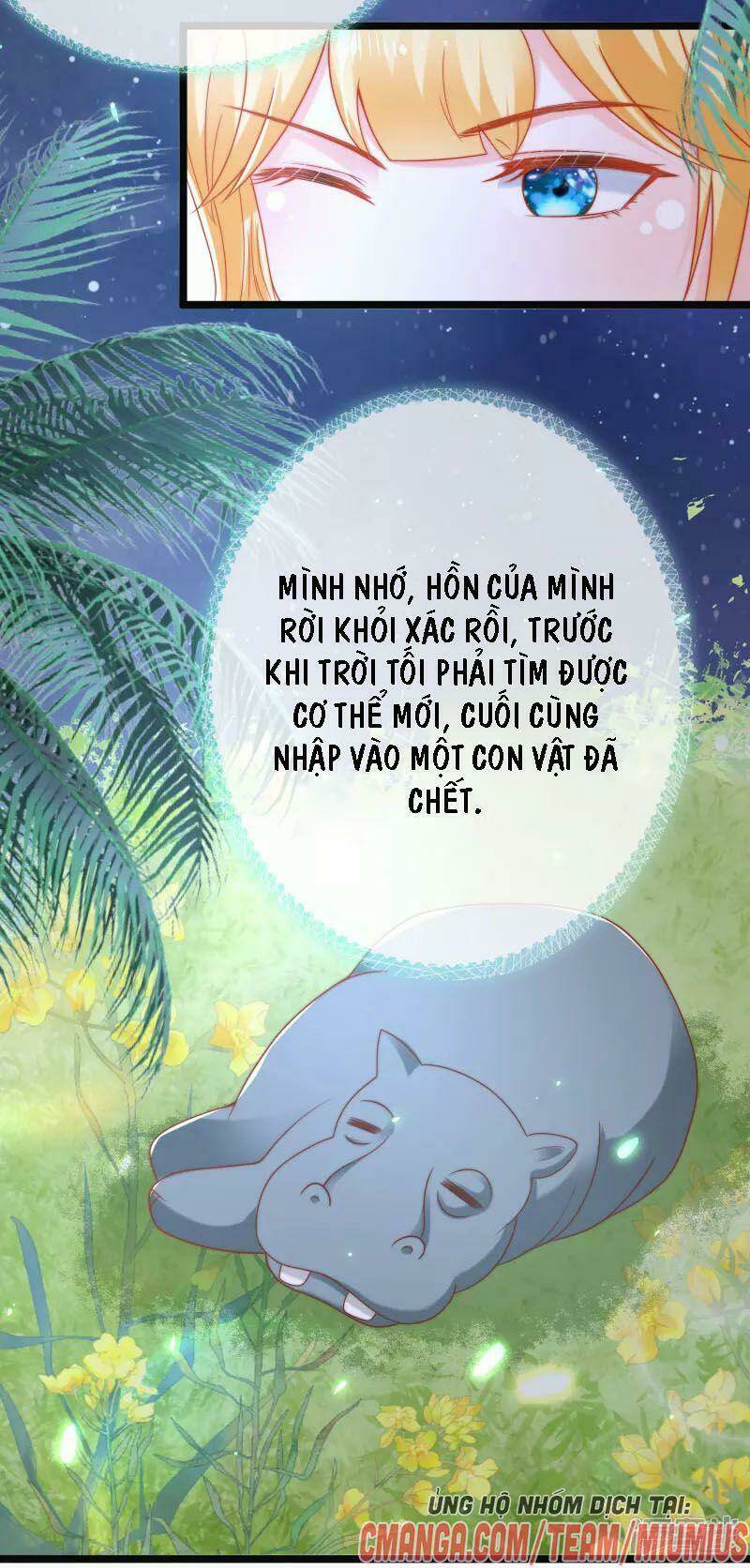 Sủng Hậu Của Vương: Chapter 118