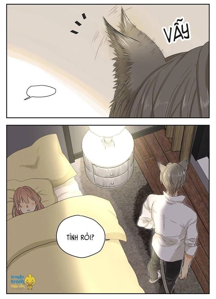 Cứu mạng ! Loài mèo thống trị thế giới rồi !: Chapter 15