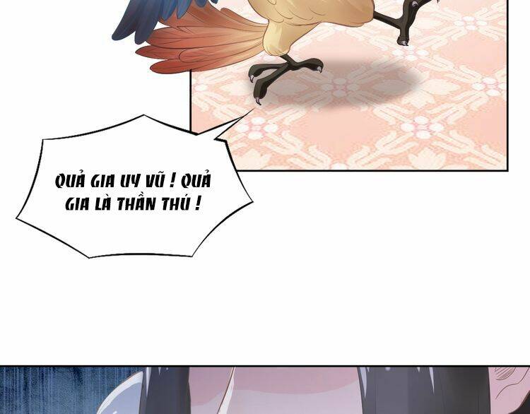 Nhất Sinh Nhất Thế Tiếu Thương Khung: Chapter 7