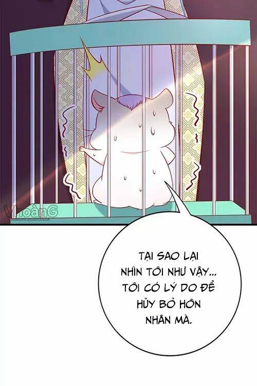 Kế Ước Ngọt Sủng:quốc Dân Lão Công Đích Tiểu Chiếm Giữ Thử: Chapter 2