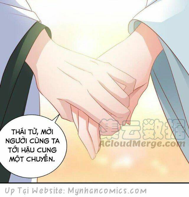 Thái Tử Điện Hạ Có Tin Vui: Chapter 66