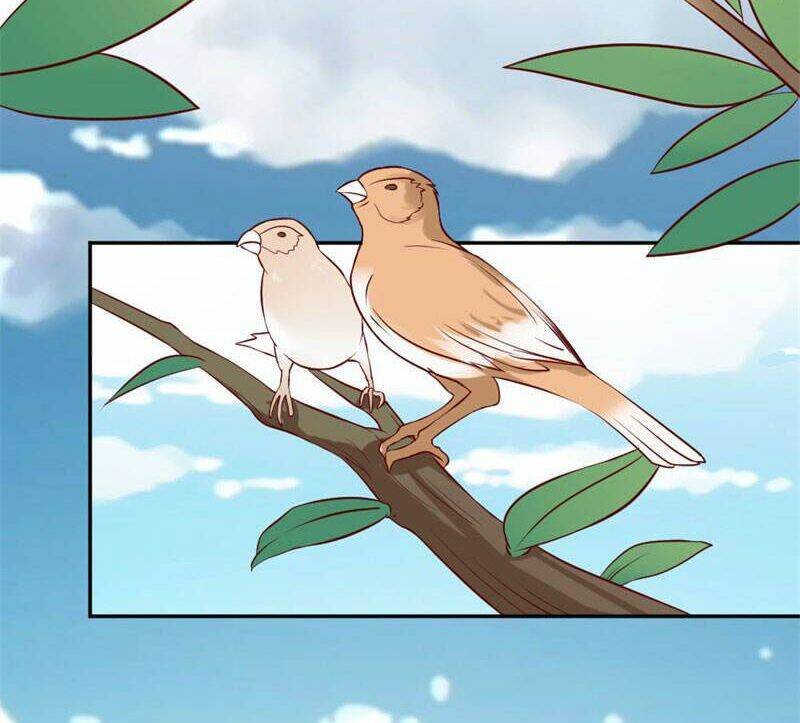 Này! Đừng Động Vào Phô Mai Của Tôi: Chapter 78