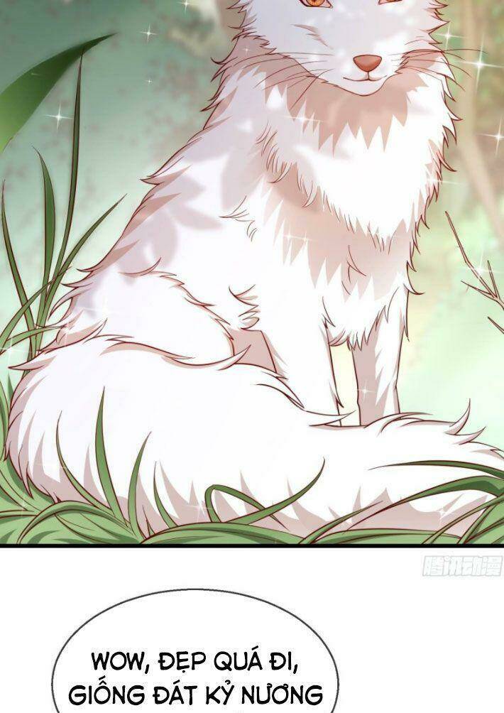 Vương Phi Là Đoá Bạch Liên Hoa: Chapter 31