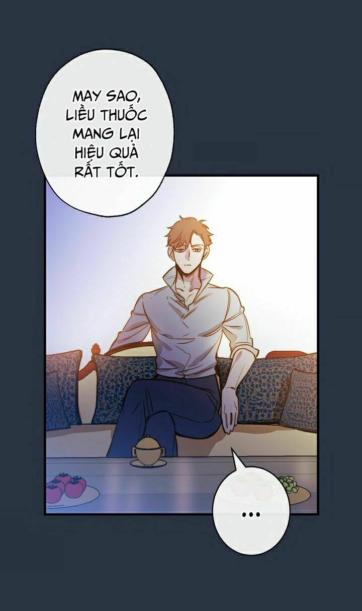 Hoàng Phi Bóng Tối: Chapter 13