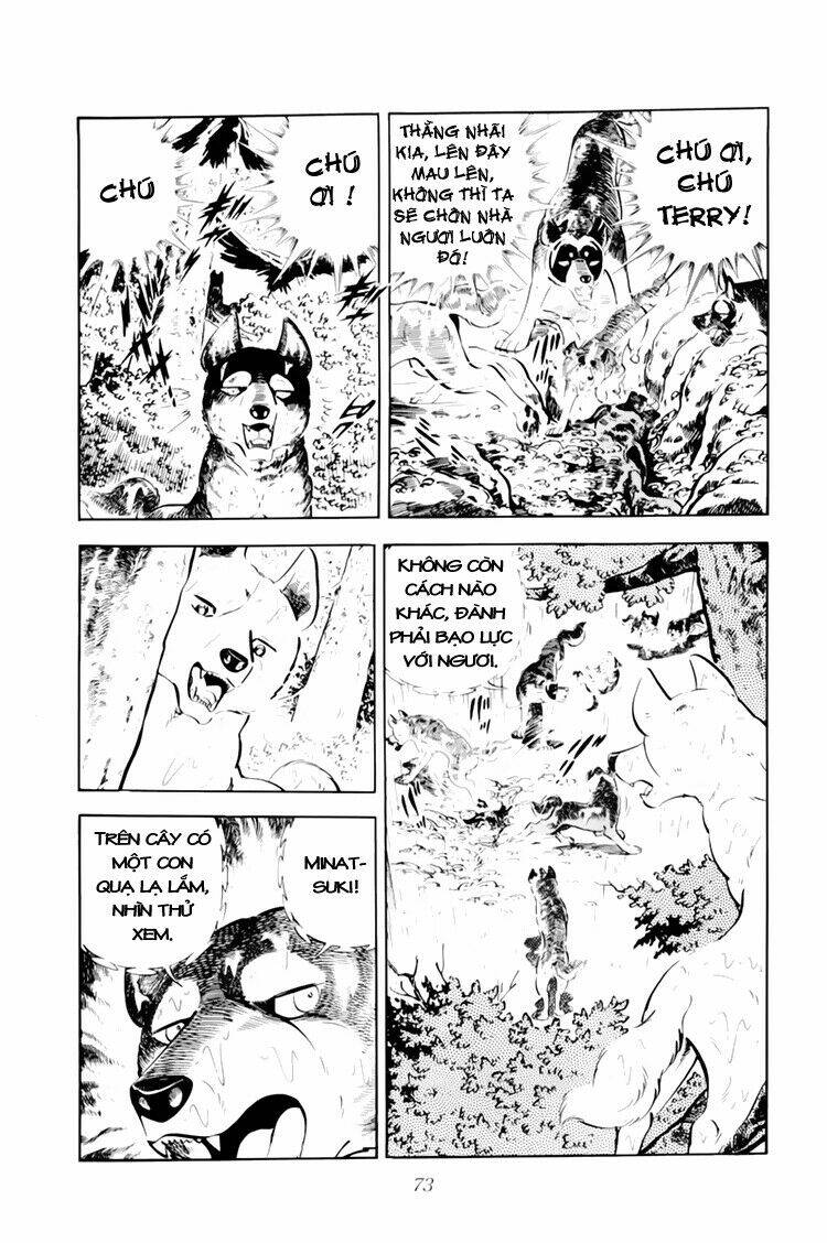 Chú Chó Có Nghĩa - Ginga Nagareboshi Gin: Chapter 32.1