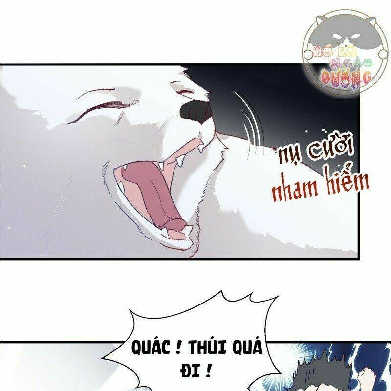 Ảnh Đế Yêu Hồ: Chapter 29