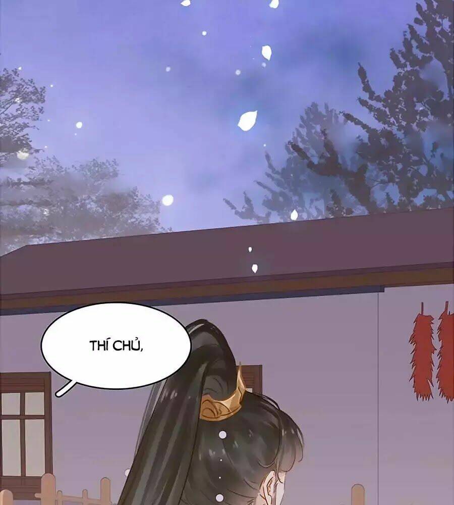 Tiểu Sư Phụ, Tóc Giả Của Ngài Rơi Rồi!: Chapter 14