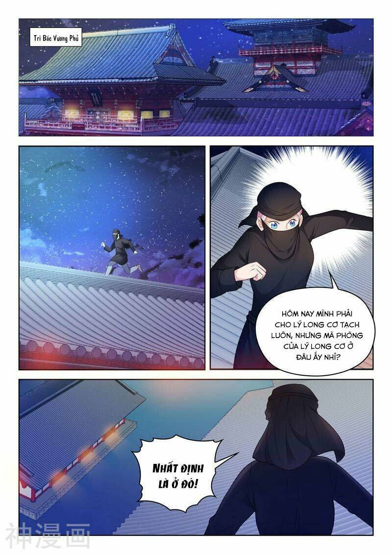 Dương Quý Phi Là Lính Đặc Chủng: Chapter 11