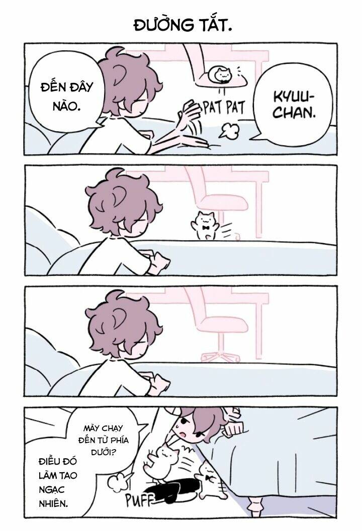 Chú Mèo Kỳ Diệu Kyuu-Chan: Chapter 665