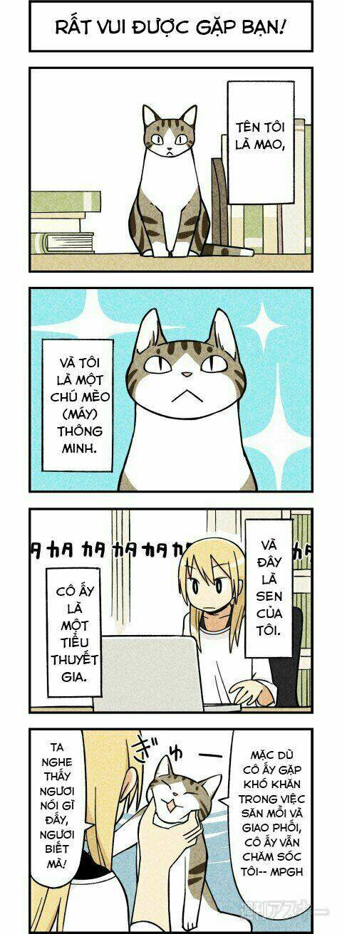 We Are Cat: Chapter 1