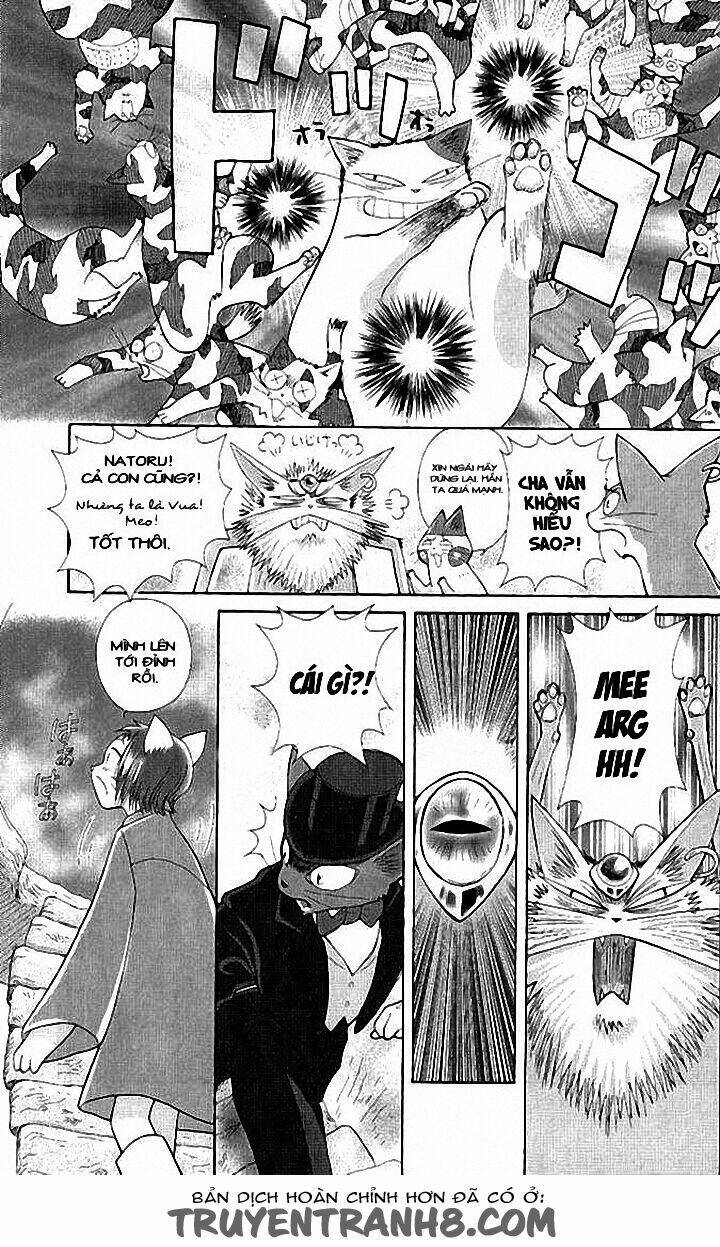 Lời Thì Thầm Từ Trái Tim: Chapter 9