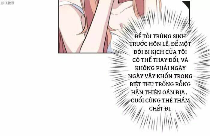 Trọng Sinh Noãn Hôn Khinh Sủng Thê: Chapter 2