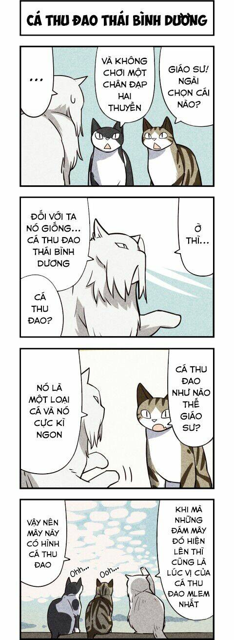 We Are Cat: Chapter 12