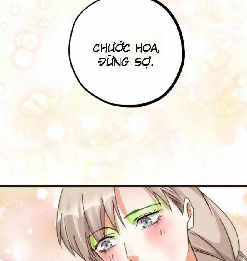 Phu Phu Khuynh Thành: Chapter 17