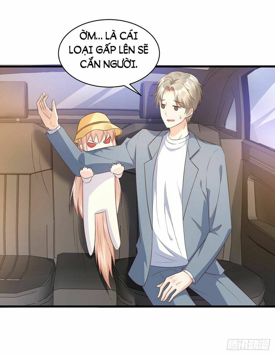 Tư Sủng Cục Cưng Bảo Bối: Chapter 12