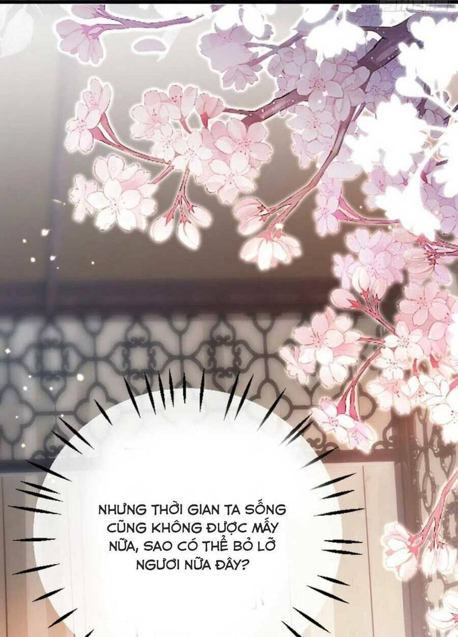 Mau Xuyên Không Rửa Tội Cho Nhân Vật Phản Diện: Chapter 122