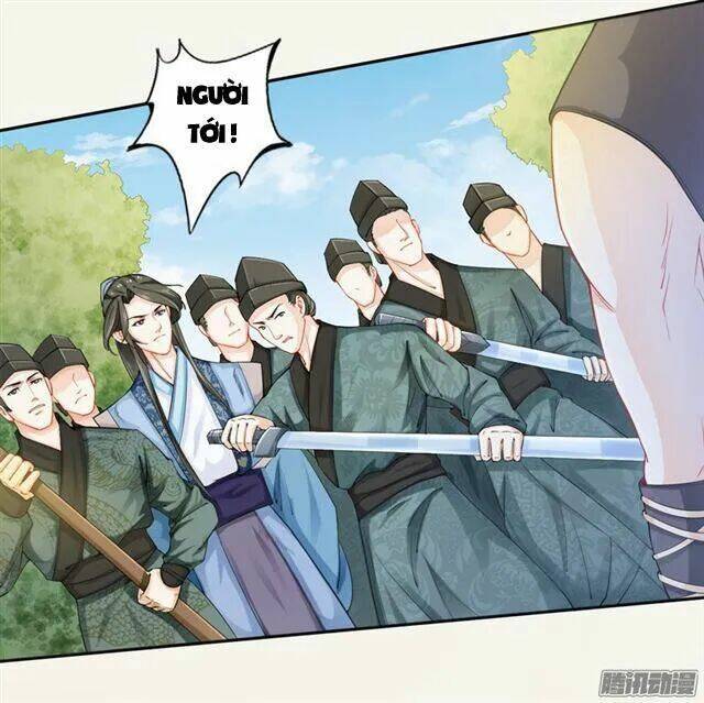 Tuyệt Thế Luyện Đan Sư: Chapter 16