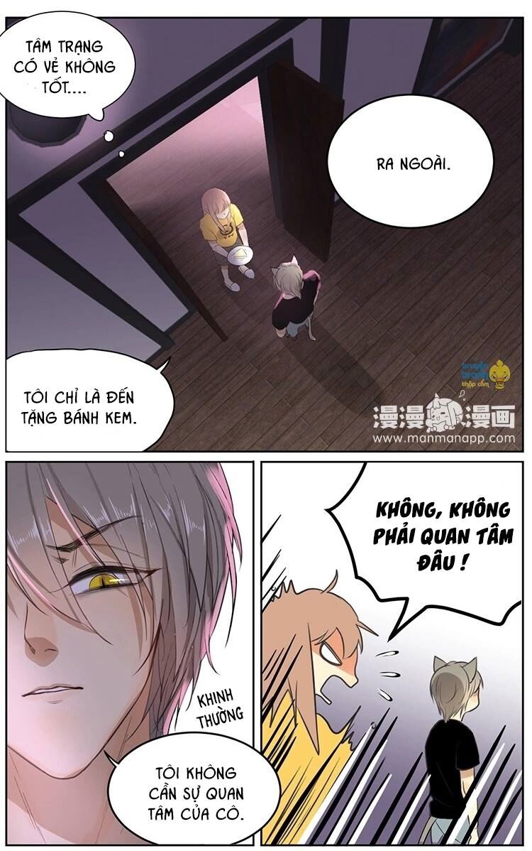 Cứu mạng ! Loài mèo thống trị thế giới rồi !: Chapter 10