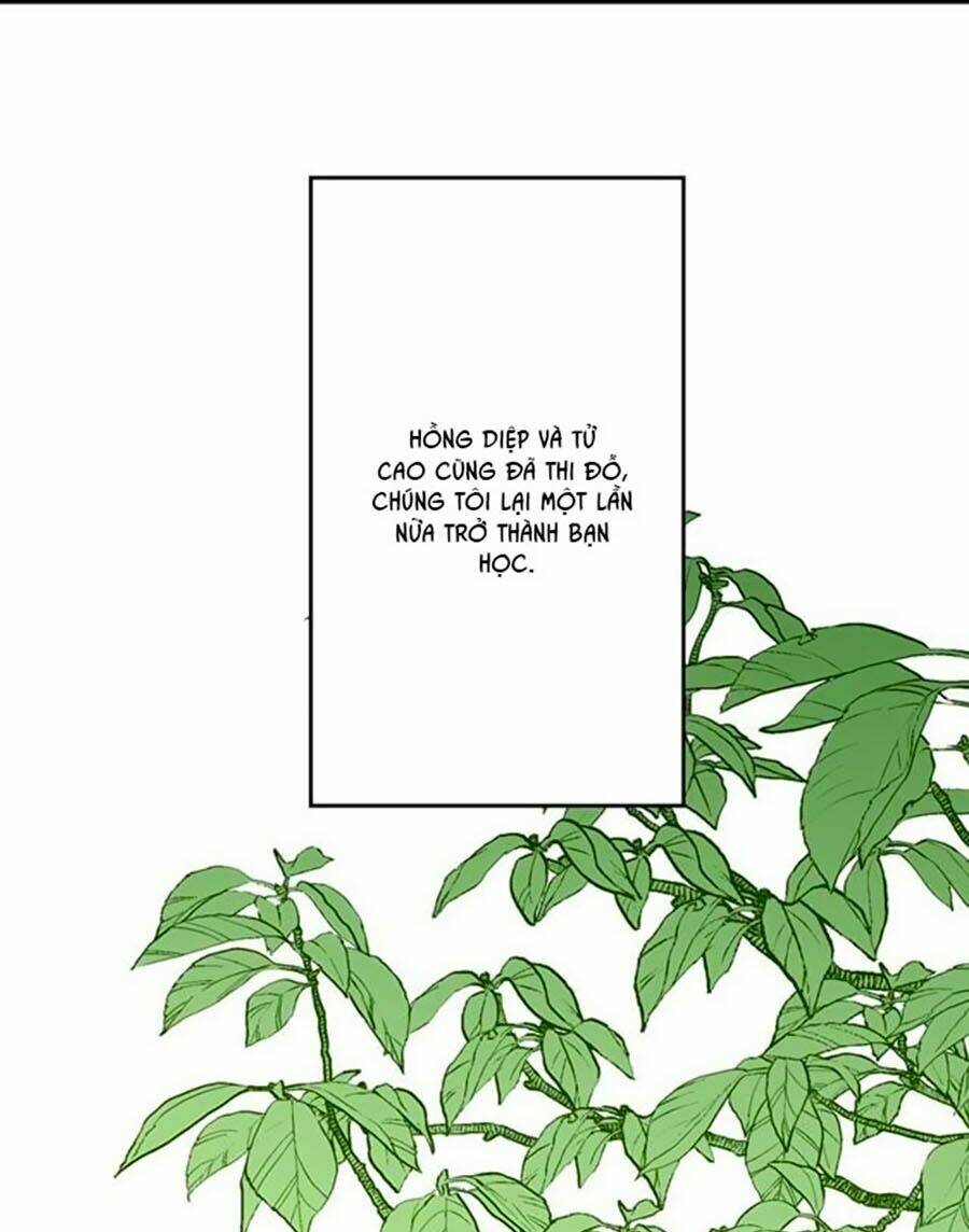 Bài Hát Tình Yêu: Chapter 8