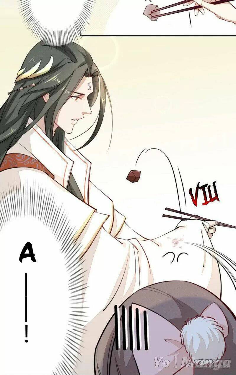 Tuyệt Thế Luyện Đan Sư: Chapter 40