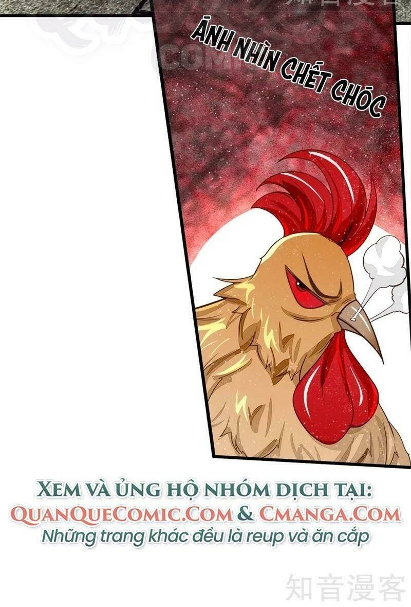 Đệ Nhất Hoàn Khố: Chapter 95