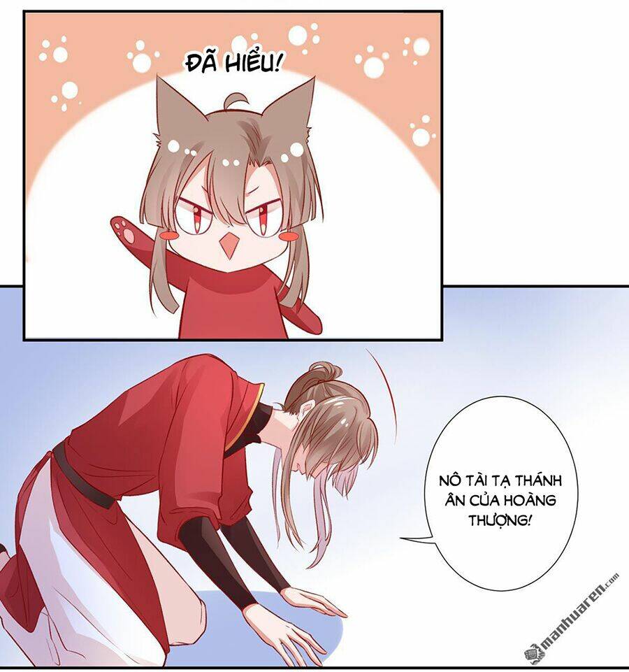 Hoàng Phi 9000 Tuổi: Chapter 11