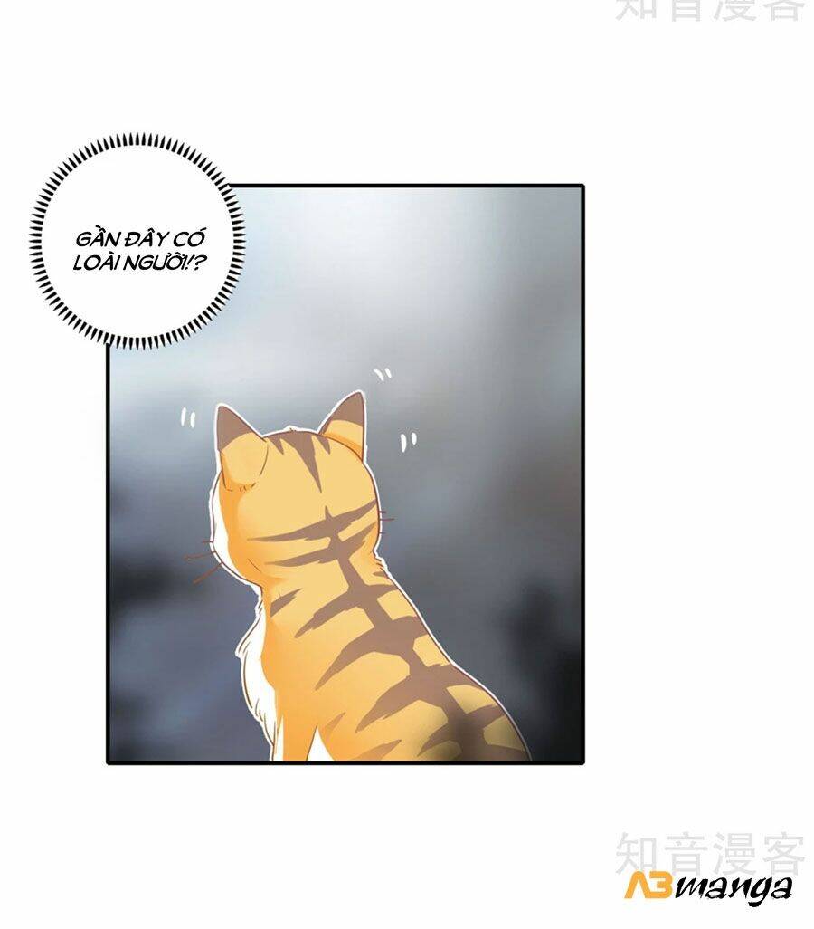 Hẹn Hò Siêu Tốc: Chapter 1